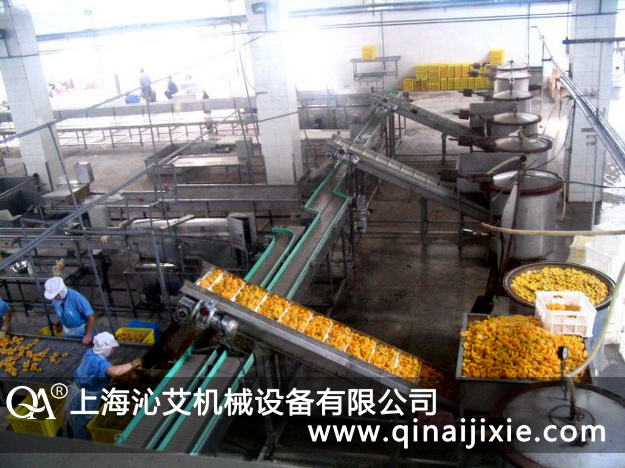 塑鋼鏈板輸送機在黃桃罐頭食品企業(yè)得到客戶的認可